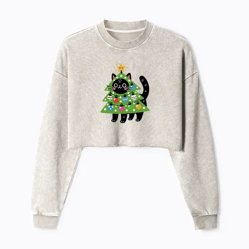 Kyoto Lion Cat Sweatshirt Gift Idea