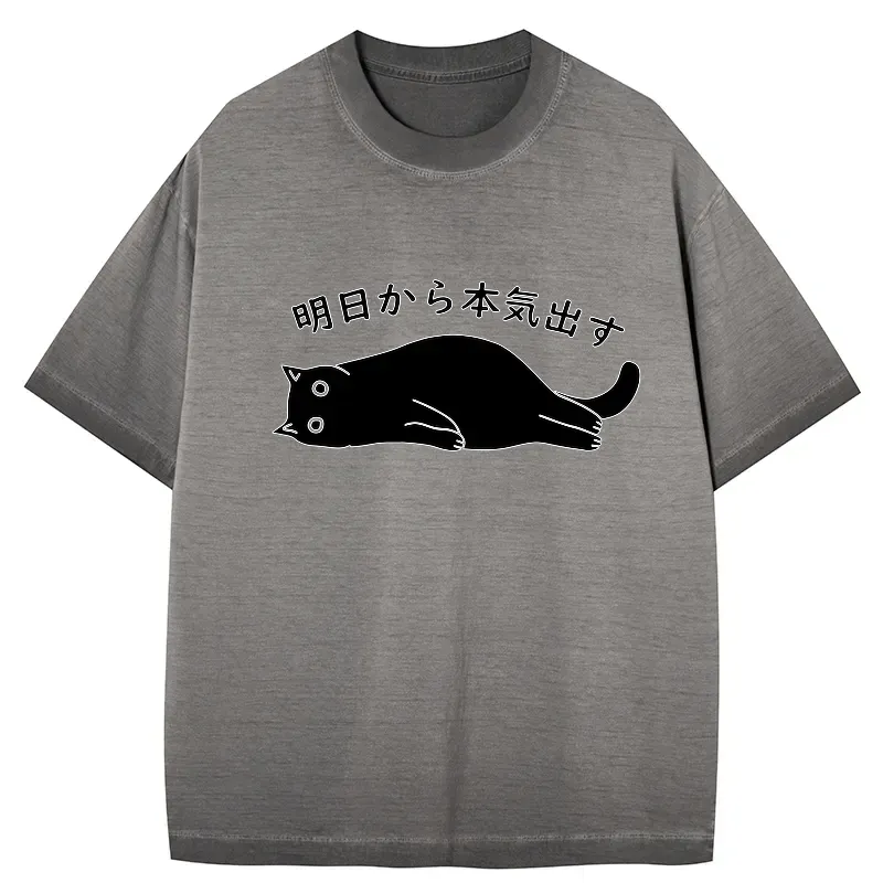 japanese gradient washed t shirt on sale
