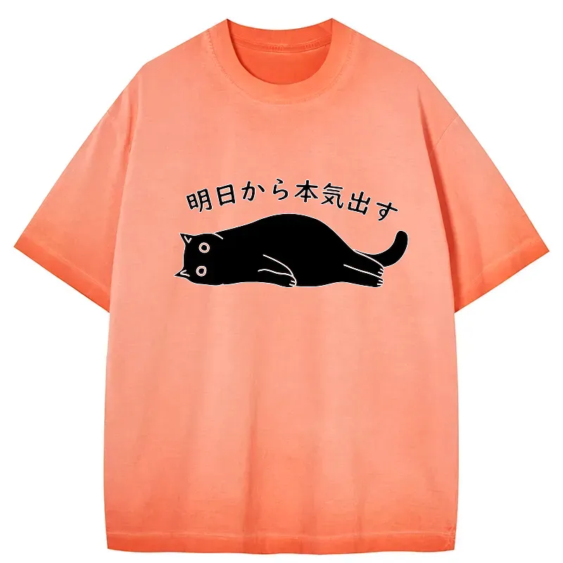 Kyoto-Lion I'm Going To Get Serious Tomorrow Gradient Washed T-Shirt