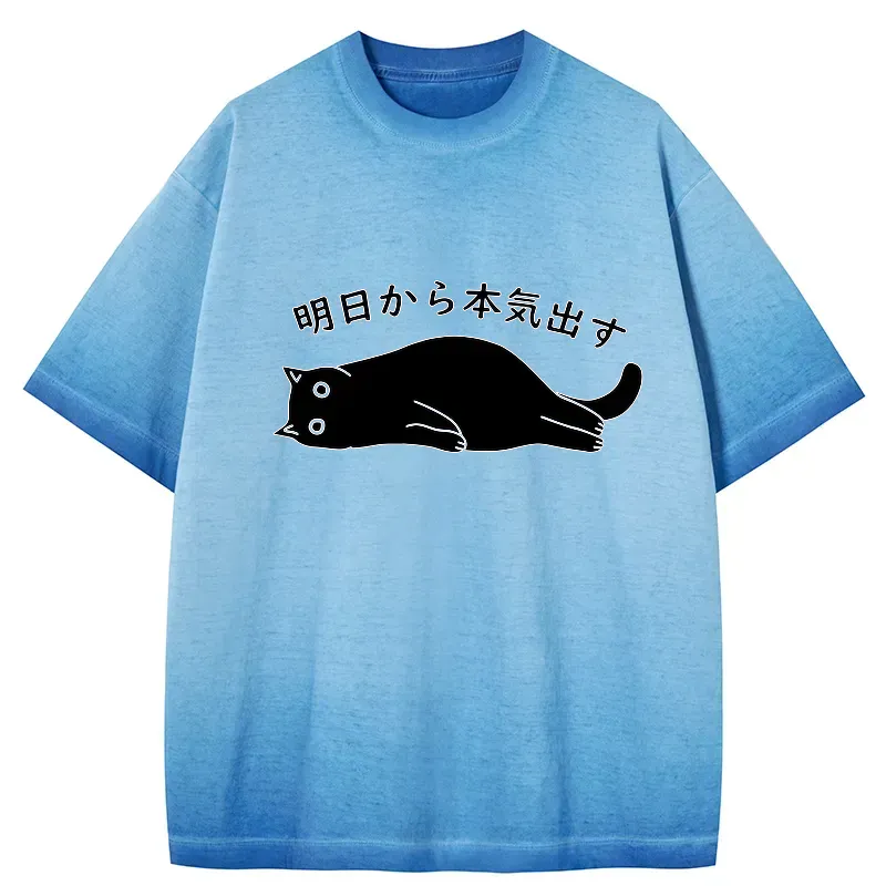 japanese gradient washed t shirt on sale