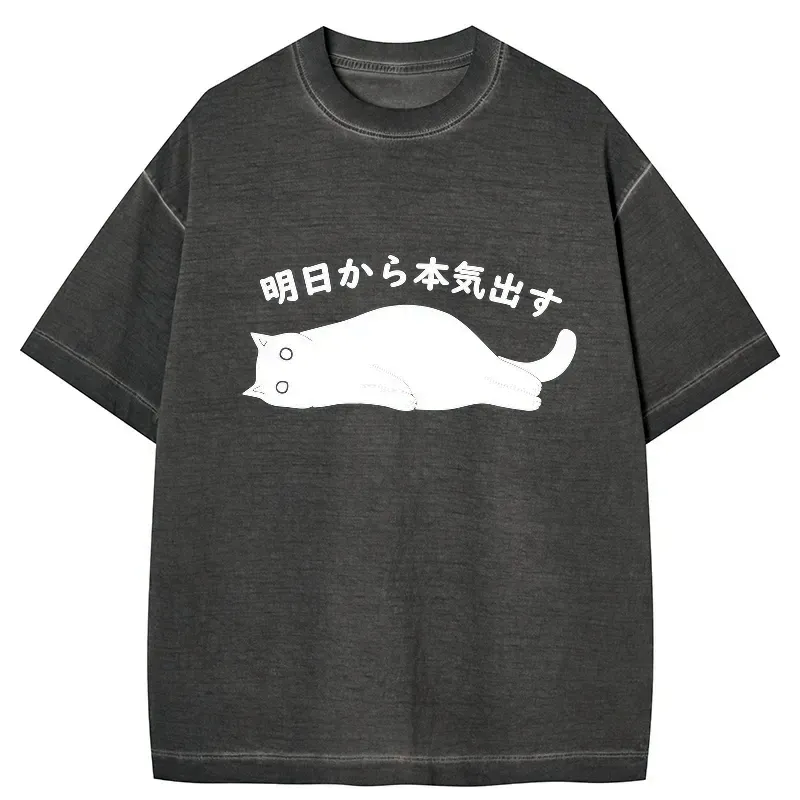comfortable japanese streetwear t shirt for daily wear