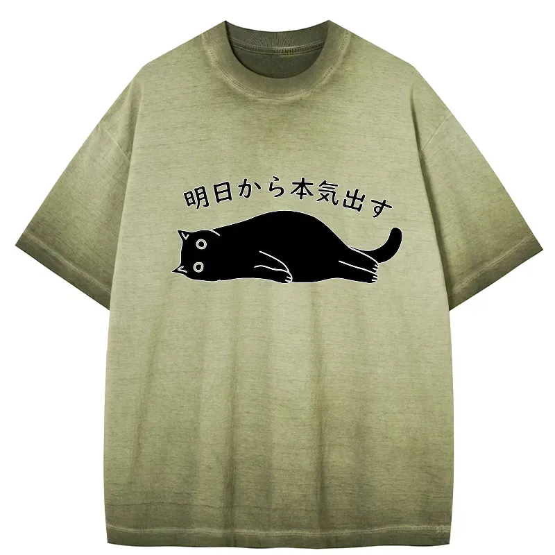 japanese gradient washed t shirt on sale
