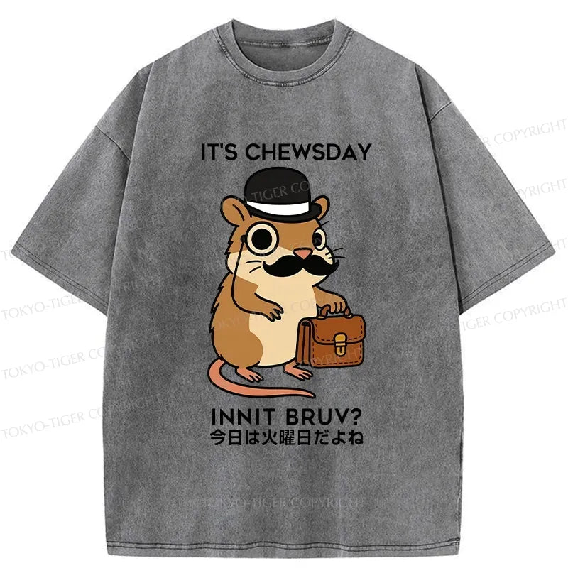 Kyoto lion t-shirt gift idea