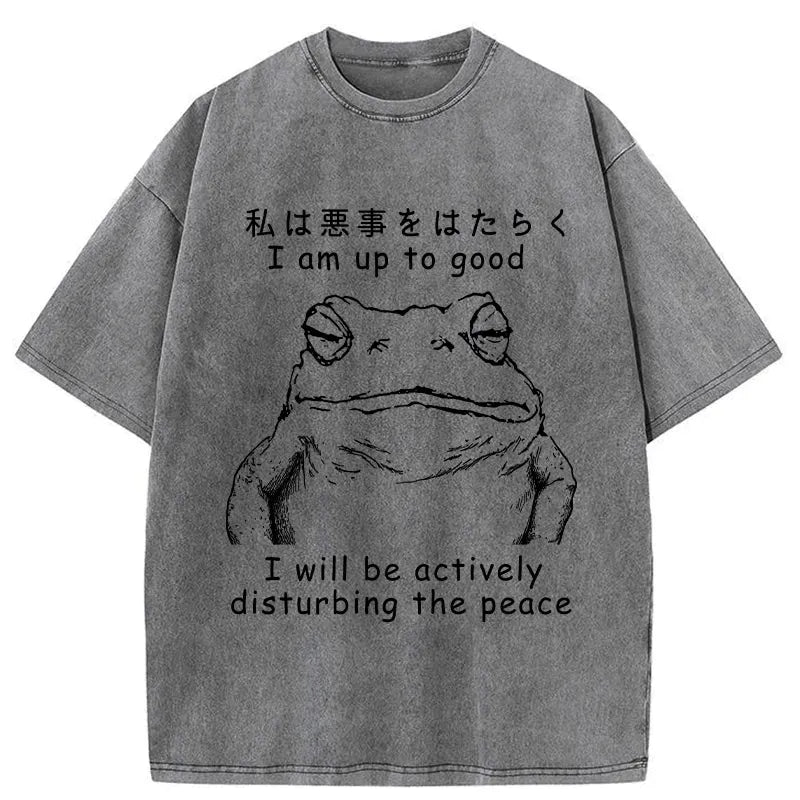 kyoto lion frog washed t-shirt on sale