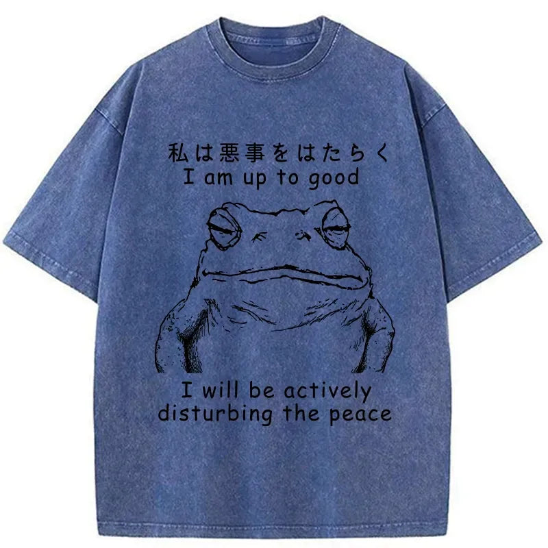 kyoto lion frog washed t-shirt on sale