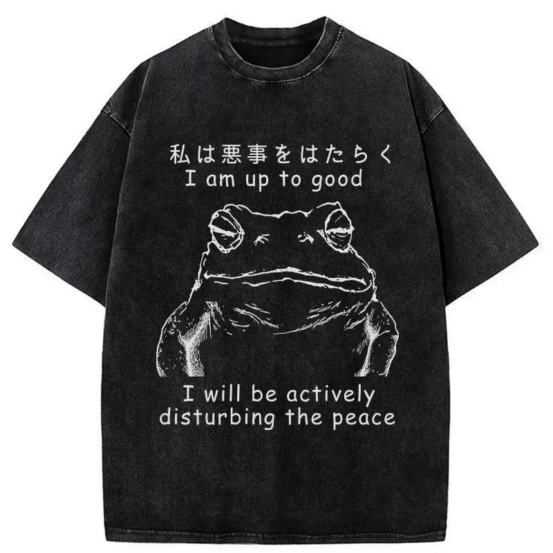 kyoto lion frog washed t-shirt on sale