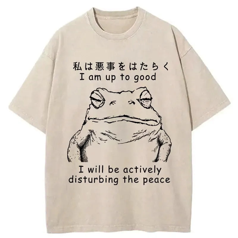 Kyoto-Lion Frog Disturbs The Peace Washed T-Shirt