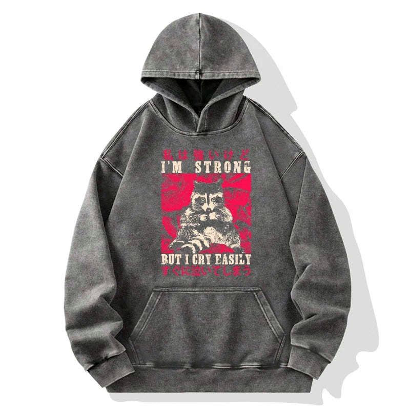 trending comfortable washed raccoon hoodie