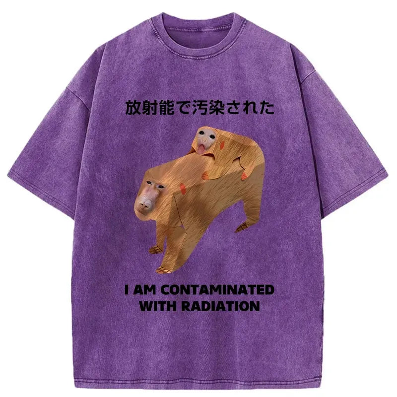 kyoto lion washed tee for streetwear
