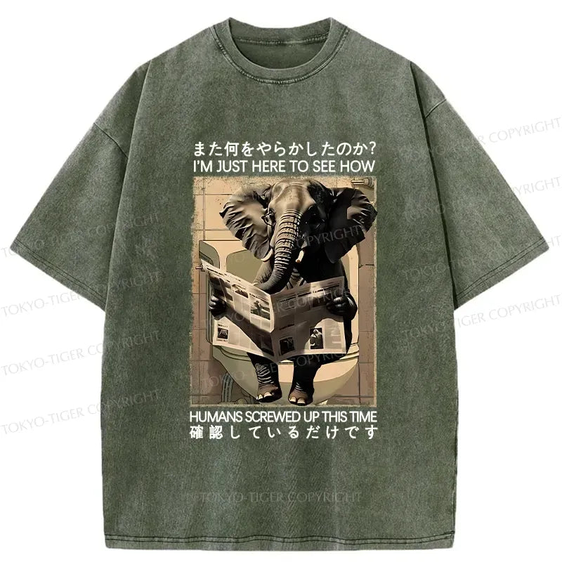 Elephant Reading Newspaper Gift for Him