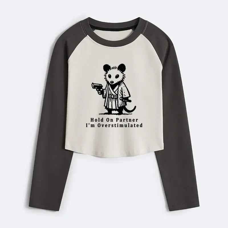 Kyoto-Lion Funny Possum Samurai Women's Crop Raglan T-Shirt