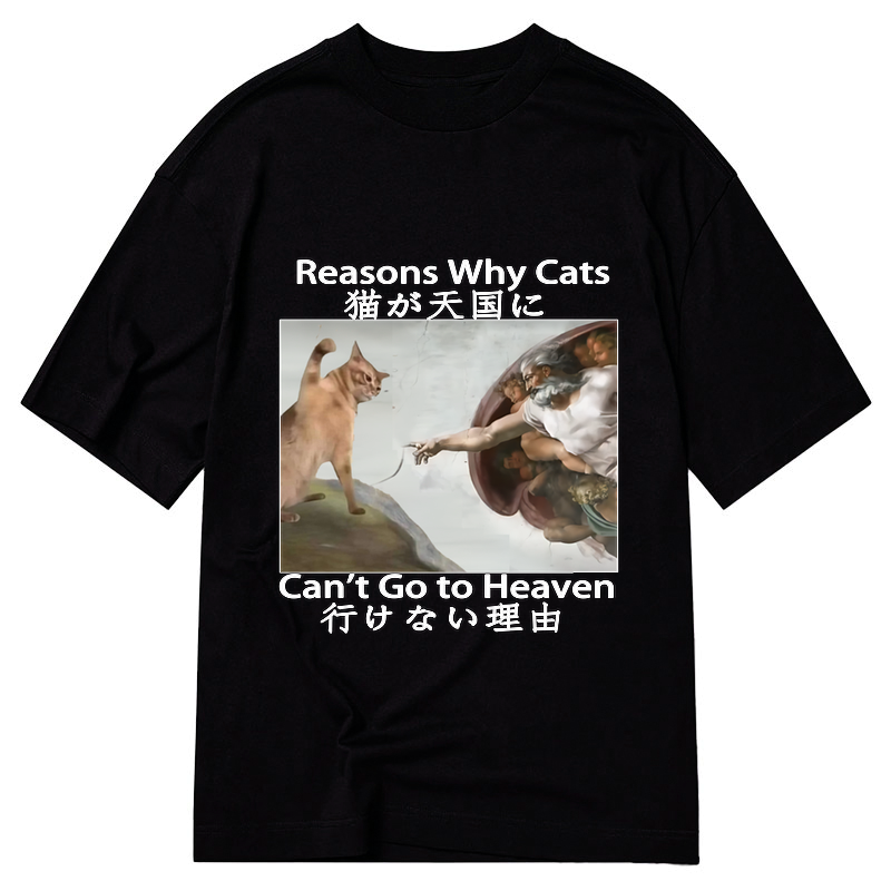 japanese naughty cat t-shirt for daily wear