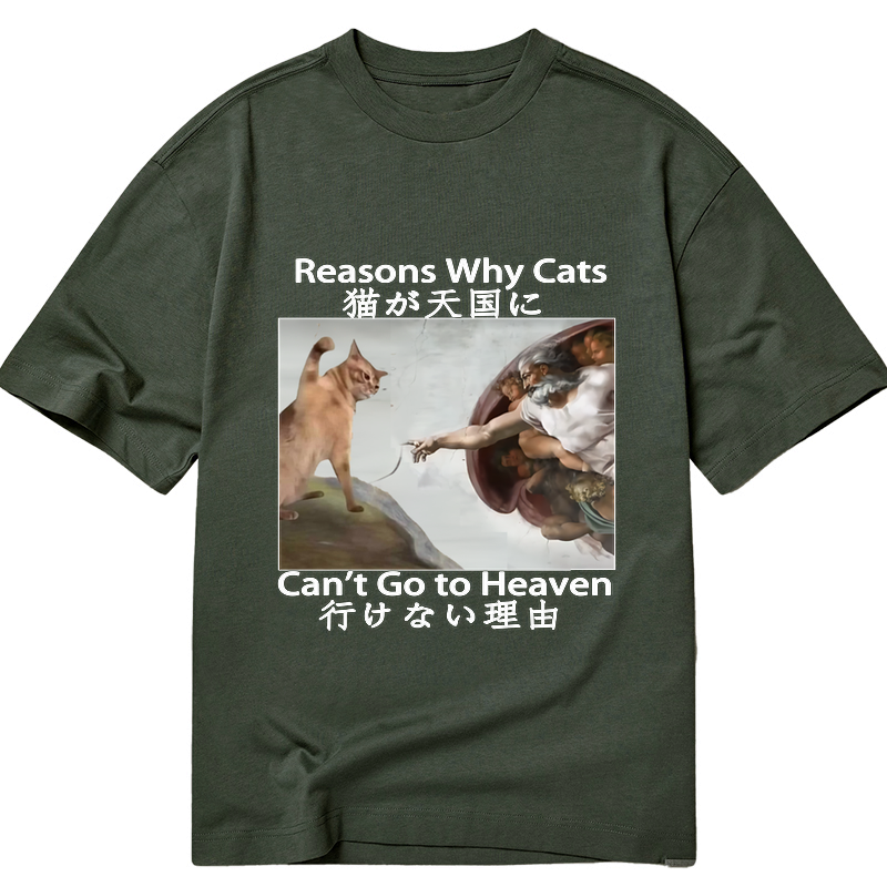 kyoto lion cat tee for vacation
