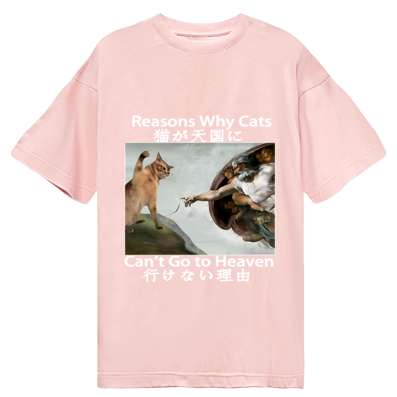 japanese naughty cat t-shirt for daily wear