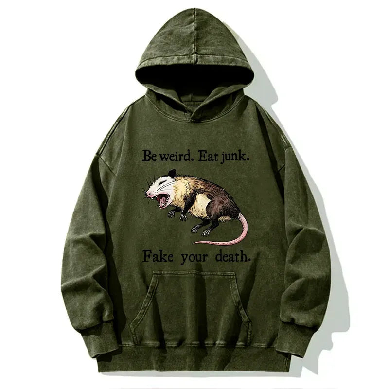 Possum Playing Dead Washed Hoodie