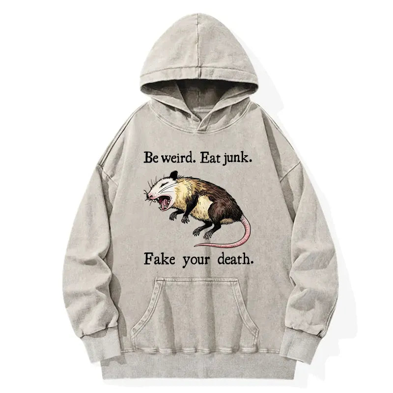Kyoto-Lion Possum Playing Dead Washed Hoodie