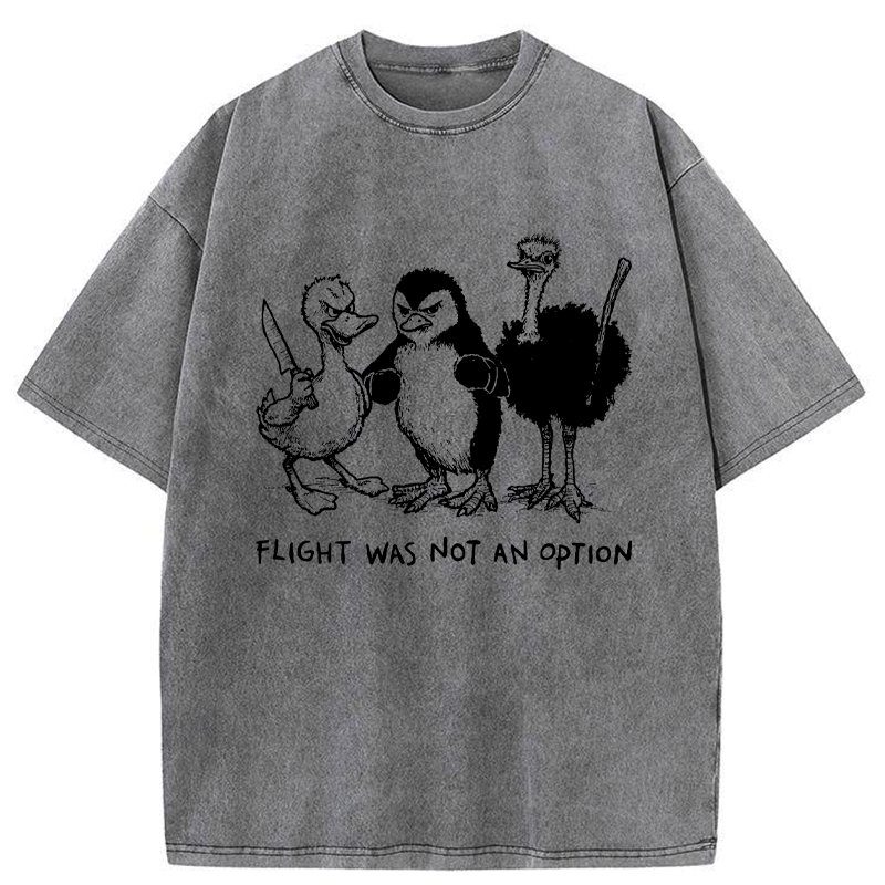 Kyoto-Lion No Wings, No Problem Washed T-Shirt