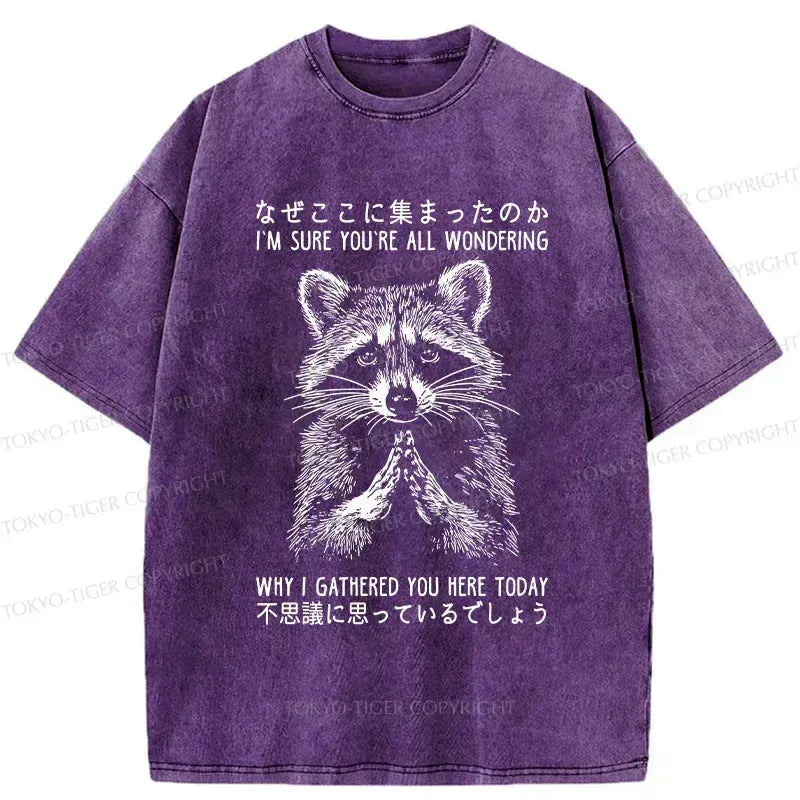 Kyoto-Lion raccoon t-shirt for daily wear