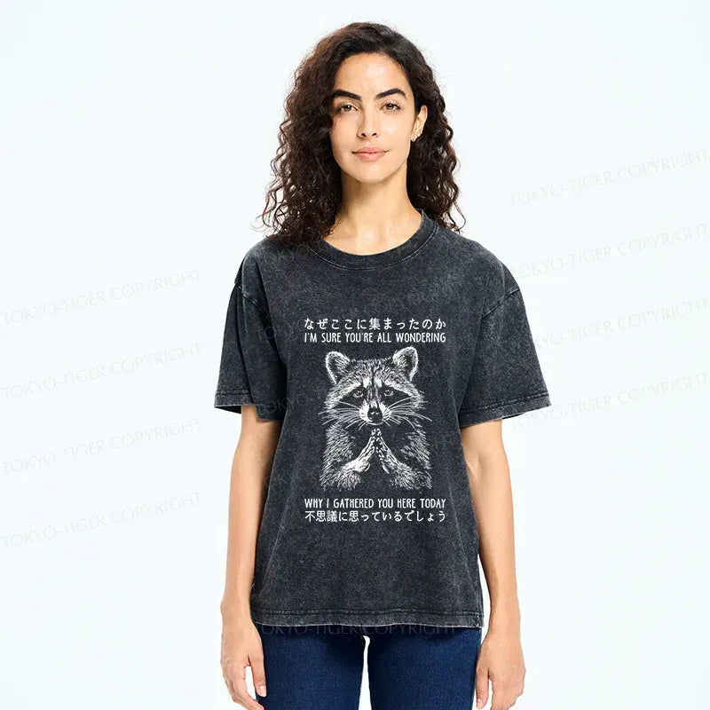 Kyoto-Lion raccoon t-shirt for daily wear