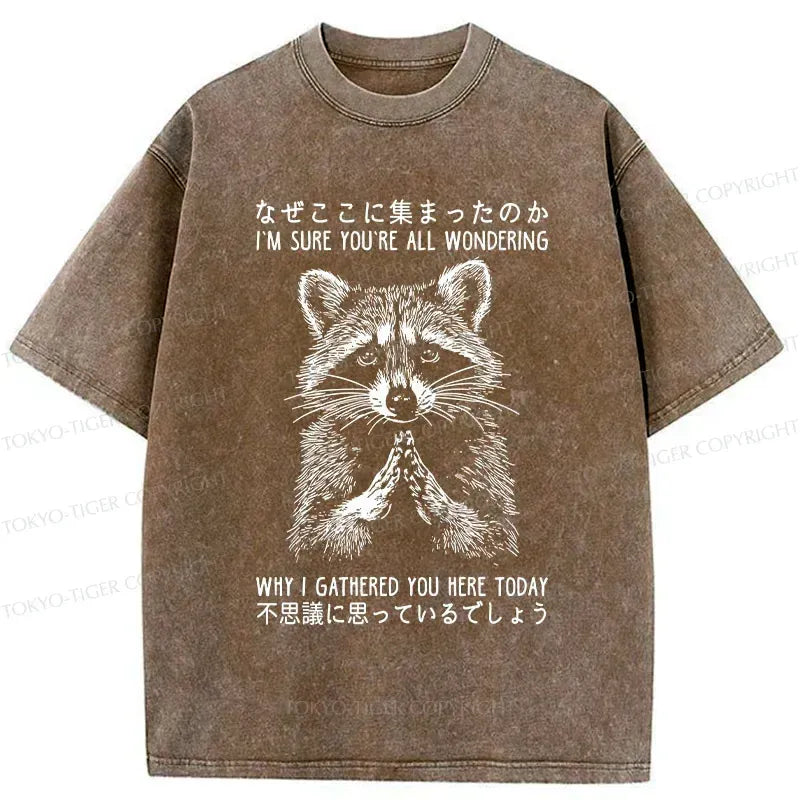 super soft unisex raccoon tee for summer