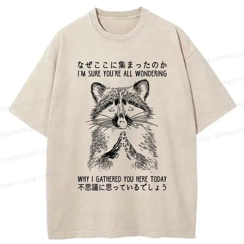 Japanese vintage raccoon washed t-shirt