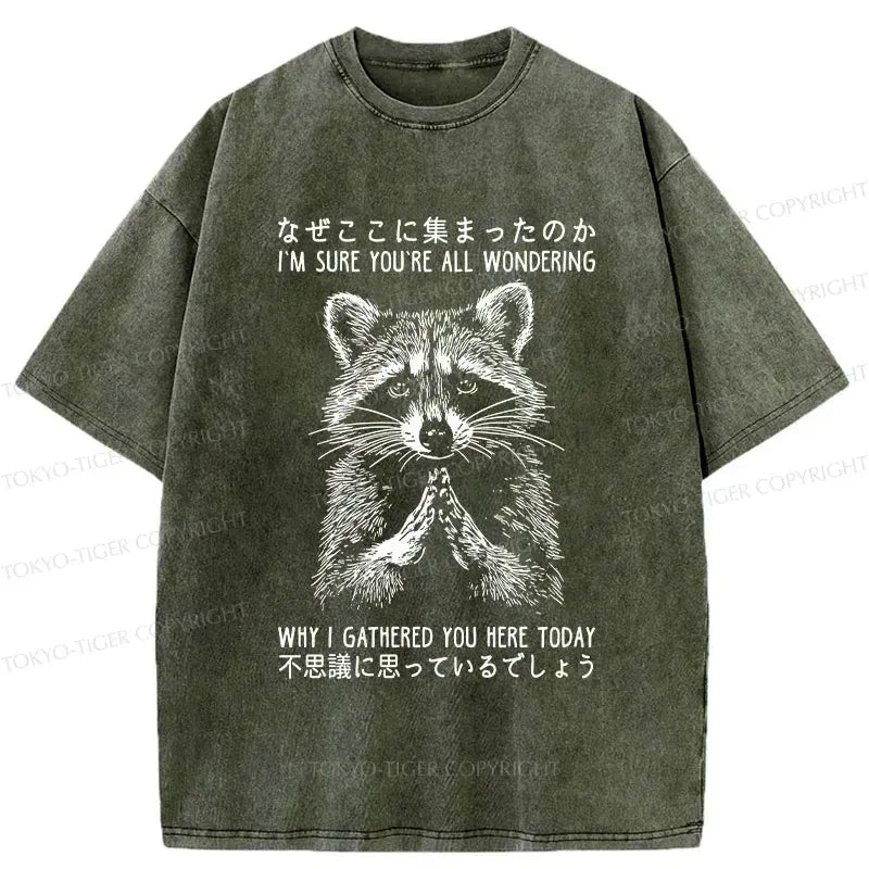 Kyoto-Lion Something's Going On Raccoon Washed T-Shirt