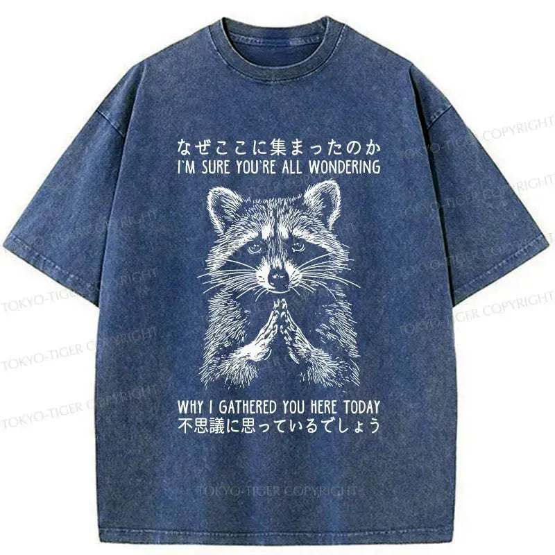 Kyoto-Lion raccoon t-shirt for daily wear