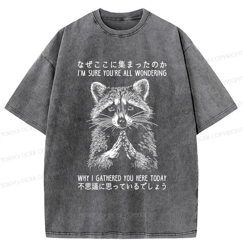 super soft unisex raccoon tee for summer