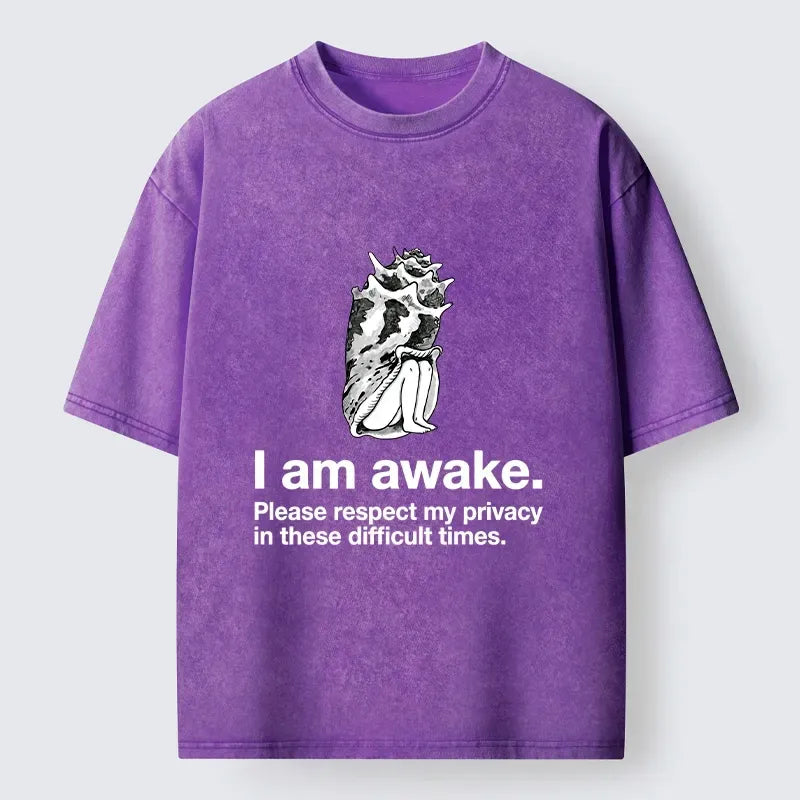 Kyoto-Lion Please Respect My Privacy Meme Washed T-Shirt