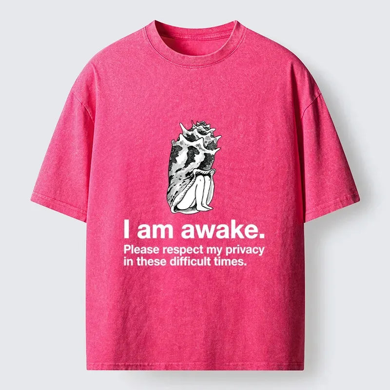 Kyoto Lion Meme Washed Tee for Him
