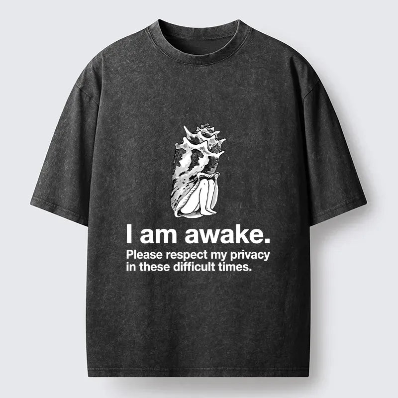 Japanese Retro Ukiyo-e Lion T-Shirt on Sale