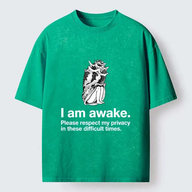 Kyoto Lion Meme Washed Tee for Him