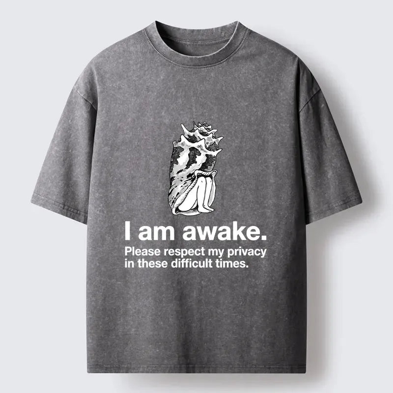 Kyoto Lion Meme Washed Tee for Him