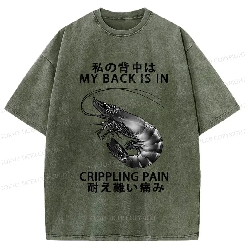 Kyoto-Lion My Back Is In Crippling Pain Washed T-Shirt