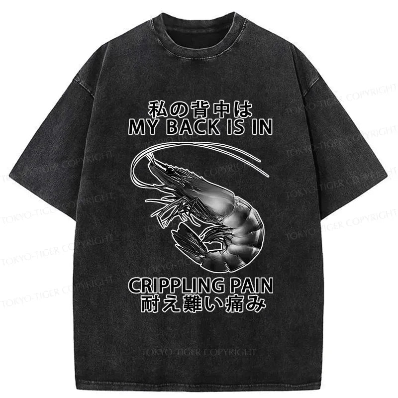 Funny Pain Relief Sarcastic T-Shirt