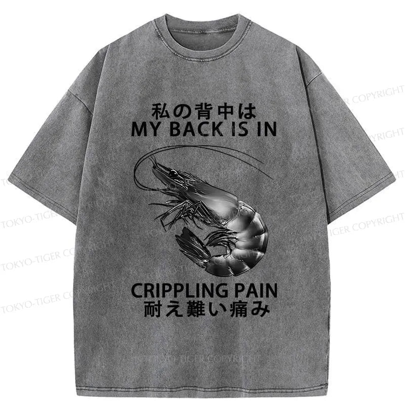 Kyoto-Lion Washed T-Shirt for Everyday