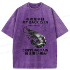 Kyoto-Lion My Back Is In Crippling Pain Washed T-Shirt