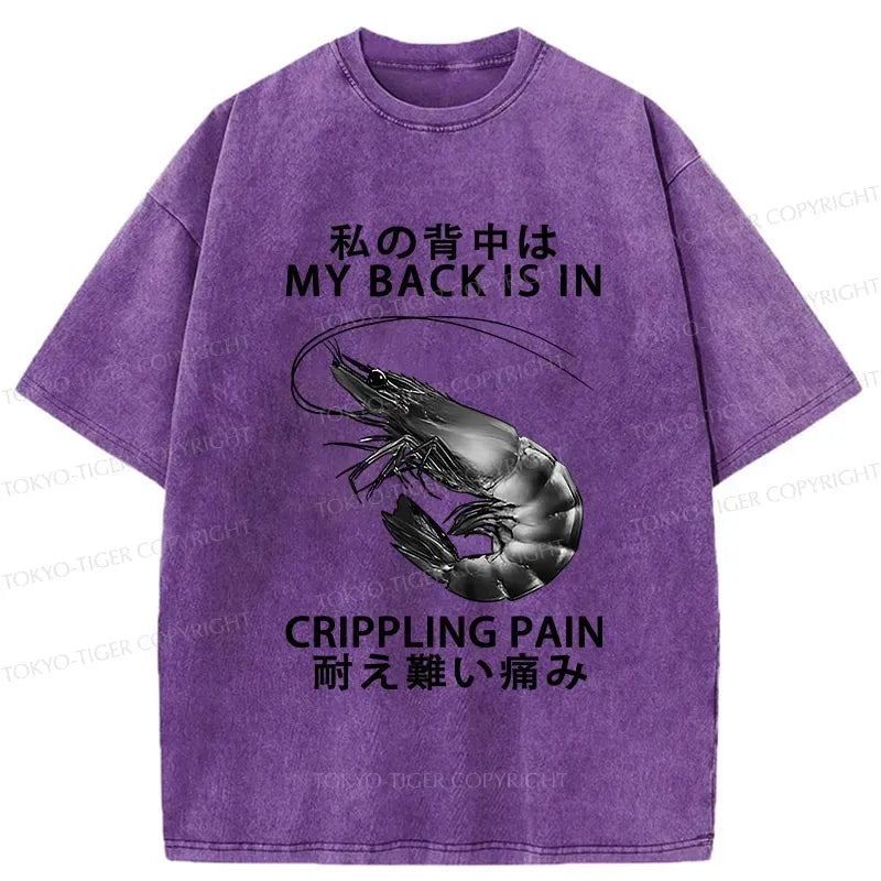 Kyoto-Lion My Back Is In Crippling Pain Washed T-Shirt