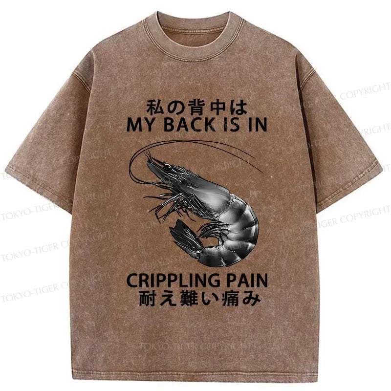 Kyoto-Lion Washed T-Shirt for Everyday