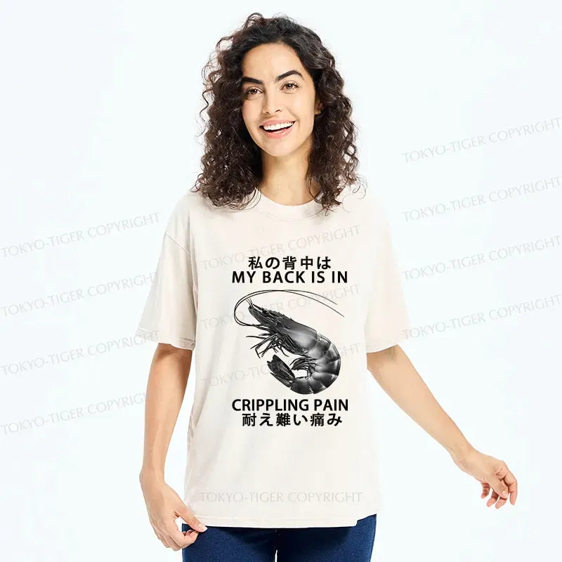 Funny Pain Relief Sarcastic T-Shirt