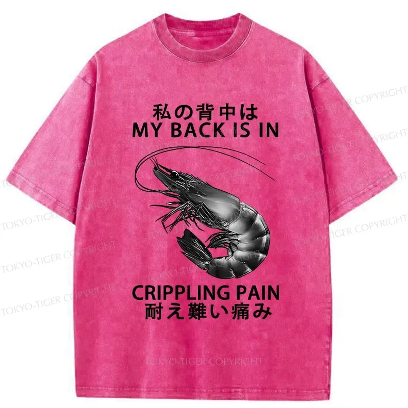 Kyoto-Lion My Back Is In Crippling Pain Washed T-Shirt