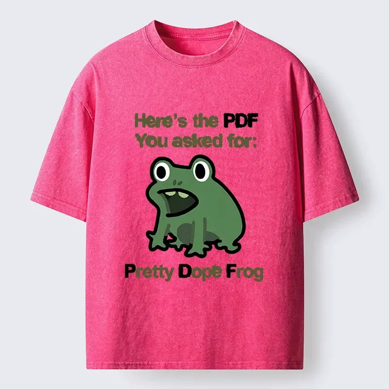 Kyoto-Lion Funny Office PDF Frog Meme Washed T-Shirt