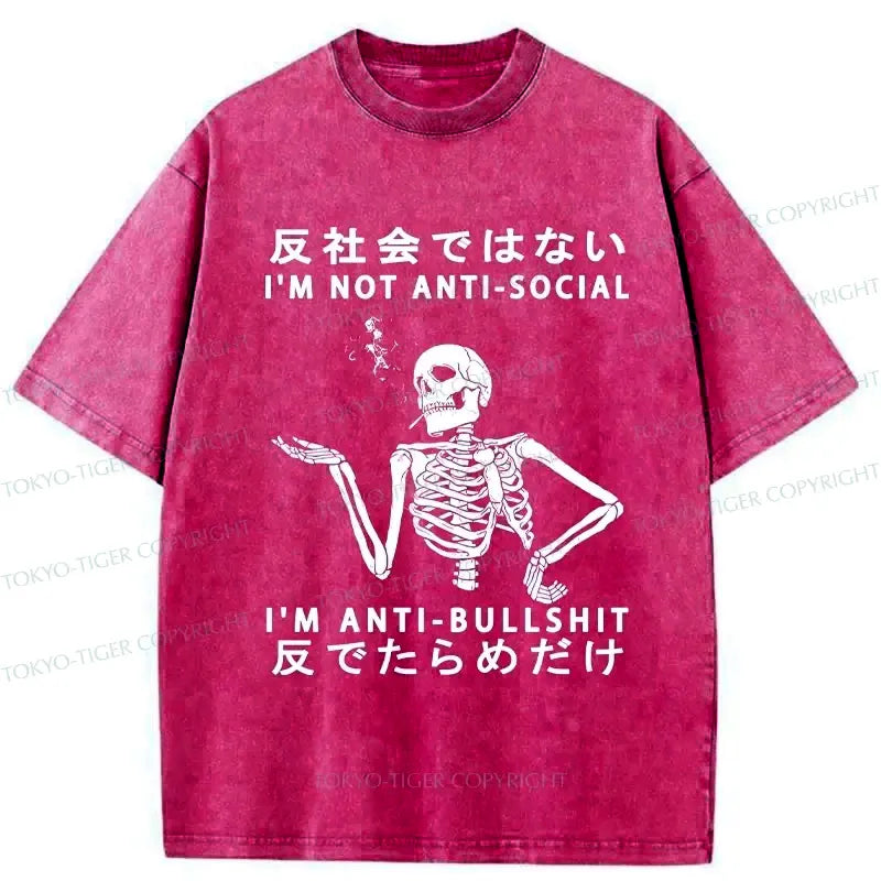 Kyoto Lion Funny Washed T-Shirt