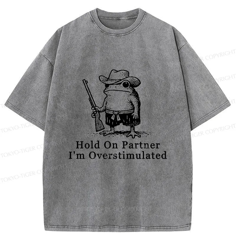 Kyoto-Lion Handsome Frog Samurai Washed T-Shirt