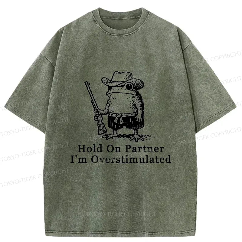 Handsome Frog Samurai Shirt for Summer