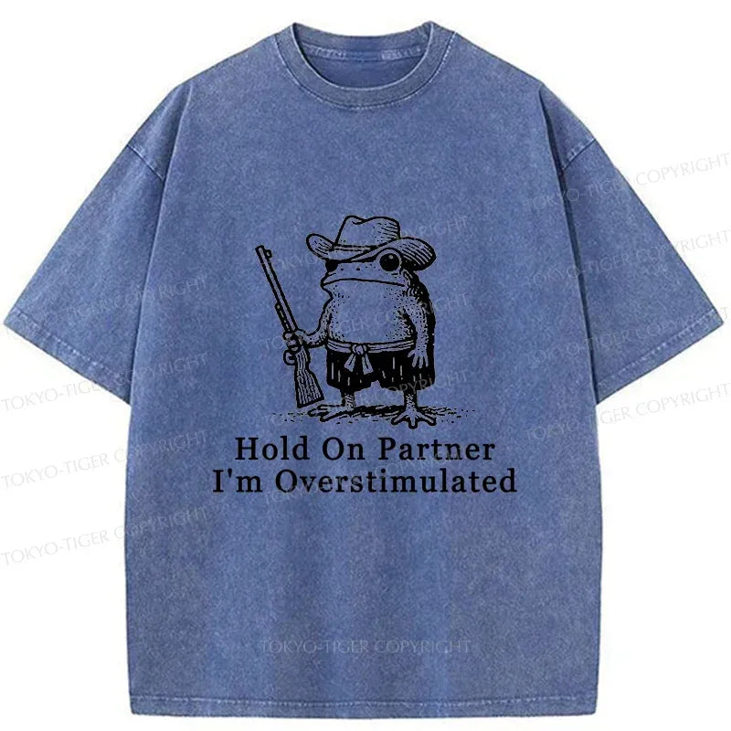Handsome Frog Samurai Shirt for Summer
