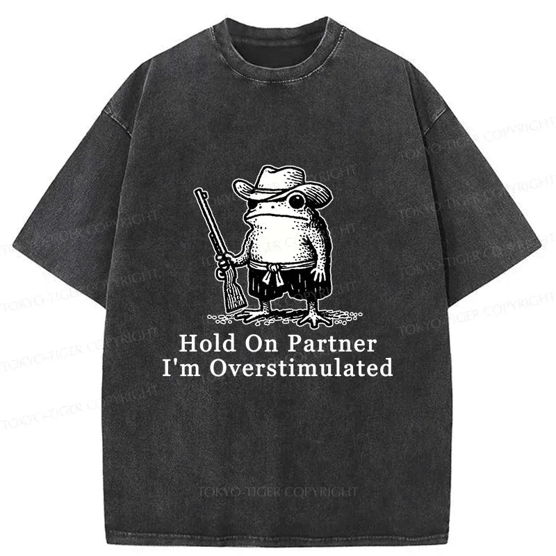 Samurai Frog Washed T-Shirt for Gift Idea
