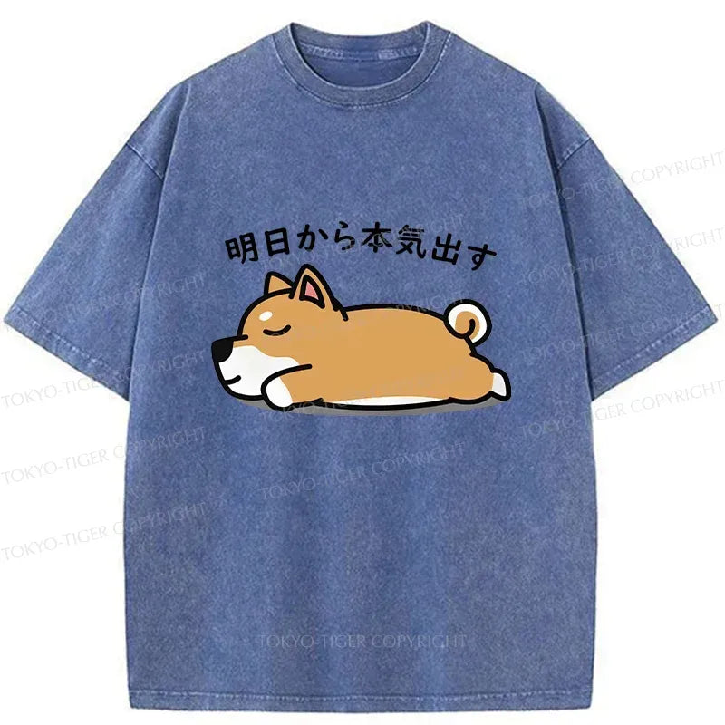 kyoto lion vintage streetwear tee