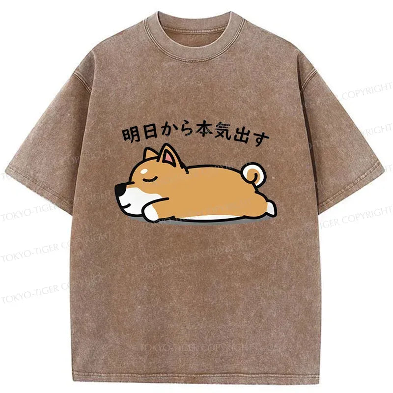 unisex cotton washed t-shirt free shipping