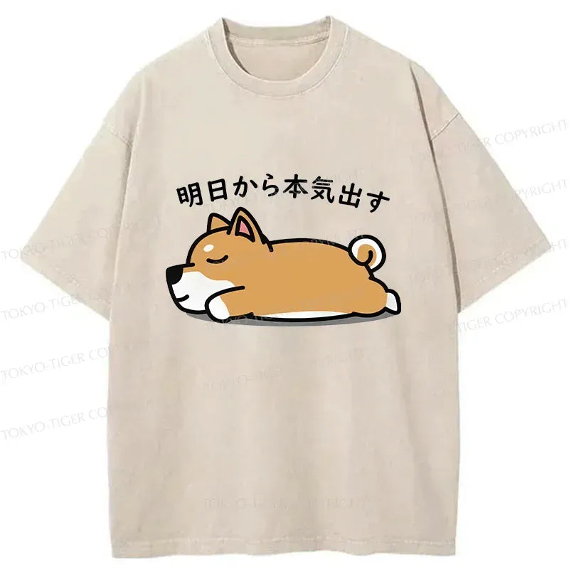 kyoto lion vintage streetwear tee